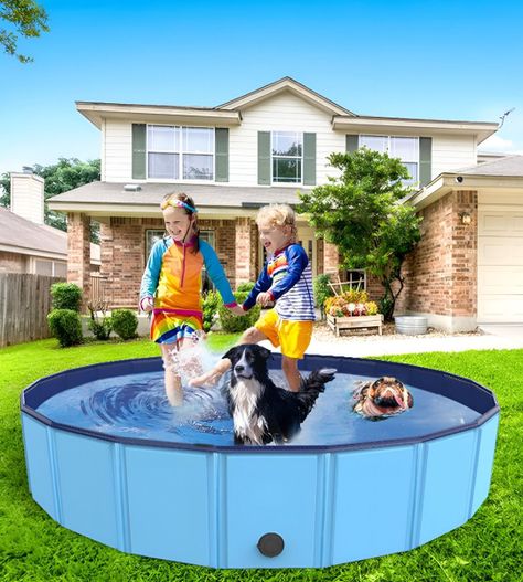 Piscina Pileta Plegable Para Mascotas Y Niños 160x30cm Jhn-5
