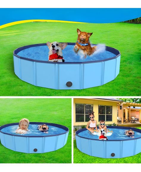 Piscina Pileta Plegable Para Mascotas Y Niños 160x30cm Jhn-7