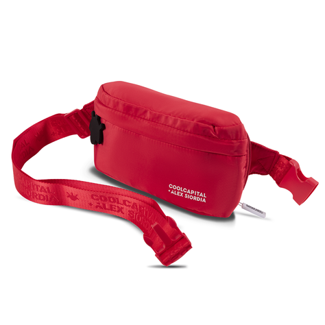 Mochila Notebook Coolcapital 15 Alexsiordia B93324-1