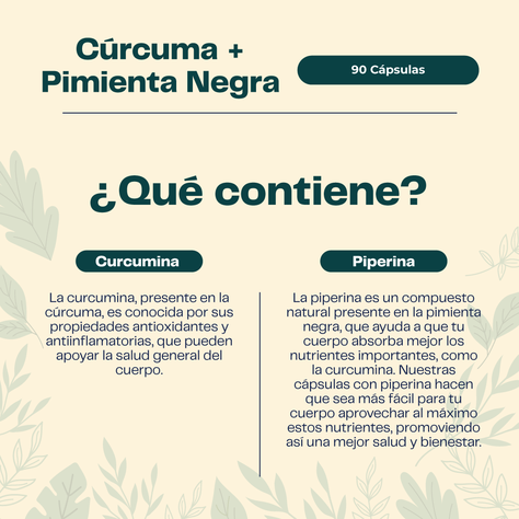 Curcuma Premium Pack  - 2 Frascos (180 Capsuslas) Karun Life-2