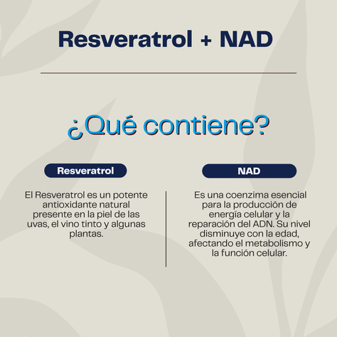Resveratrol NAD + 60 Cap Premium Karun Life-2