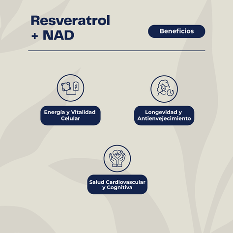 Resveratrol NAD + 60 Cap Premium Karun Life-3