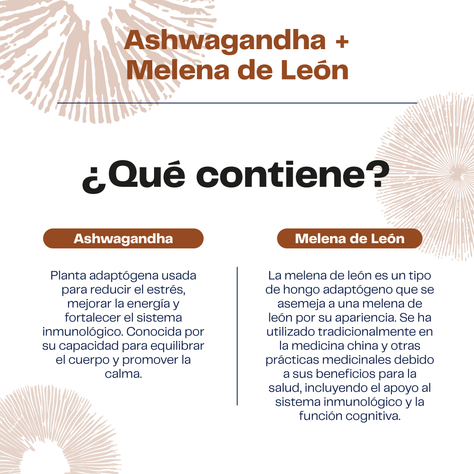 Extracto de Ashwagandha + Melena de Leon 30 Ml Karun Life-2