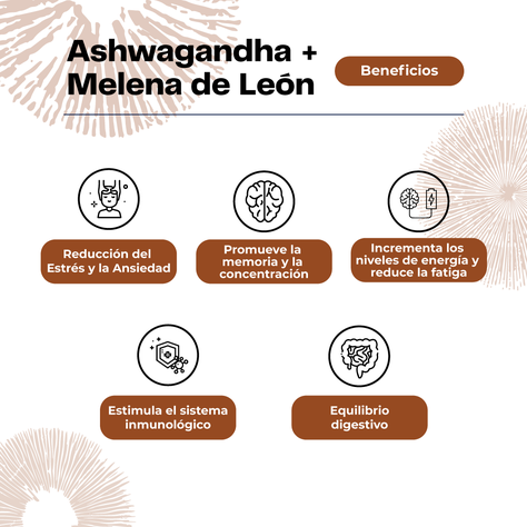 Extracto de Ashwagandha + Melena de Leon 30 Ml Karun Life-3