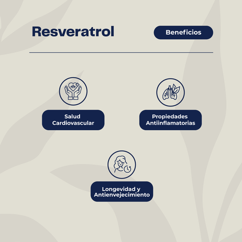 Resveratrol 60 Cápsulas Karun Life-3