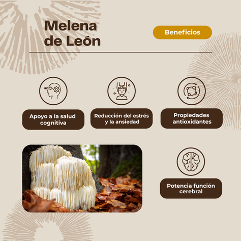 Melena De León Hongo - Gomitas 60 Un Karun Life-3