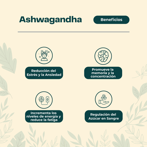 Ashwagandha 450 Mg 60 Cáp Estado Mental Optimo Karun Life-3