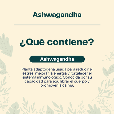 Ashwagandha 450 Mg 60 Cáp Estado Mental Optimo Karun Life-2