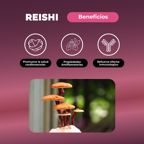 Reishi Hongo Premium  Extracto En Gotas 30ml Karun Life-3