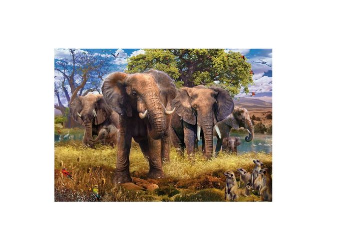 Puzzle Familia de elefantes - 500 piezas-1