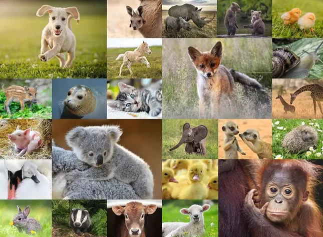 Puzzle Lindos animales Bebes 200p-1