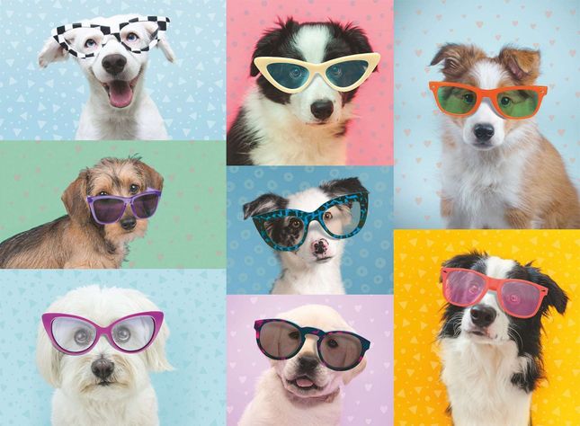 Puzzle XXL Perros divertidos - 150 piezas-2