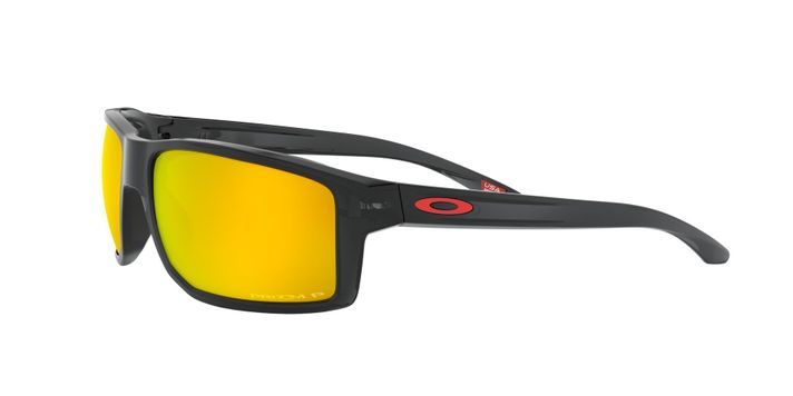 Oakley Gibston Polarizado y Prizm-1