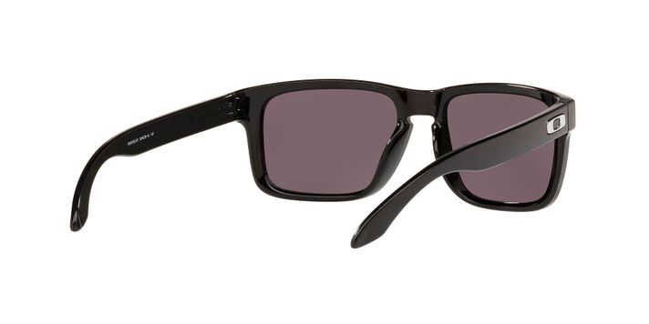 Oakley Holbrook Prizm OO9102L-E155-6