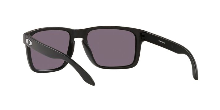 Oakley Holbrook XL Prizm OO9417L-2259-4