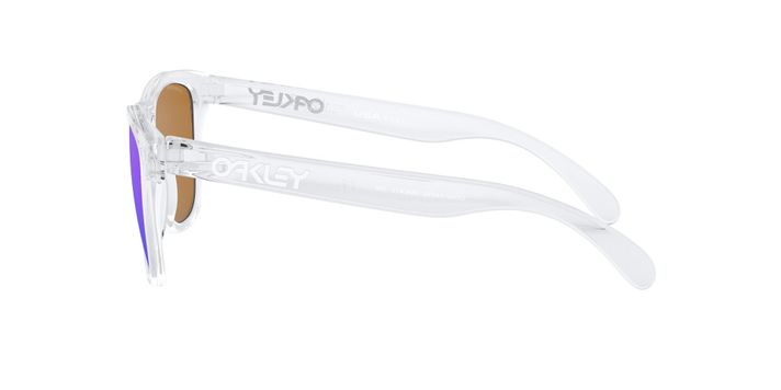 Oakley Frogskins Prizm-2