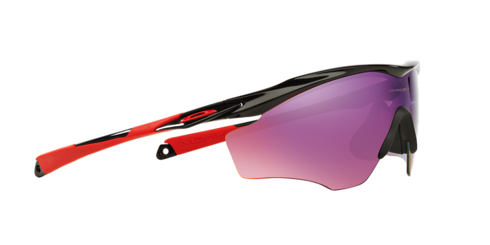 Oakley M2 Frame XL Prizm-9
