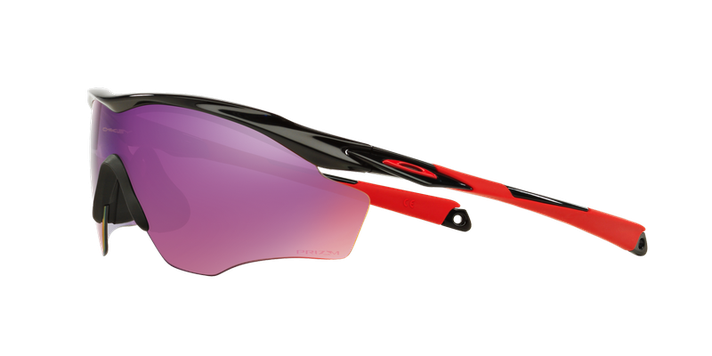 Oakley M2 Frame XL Prizm-1