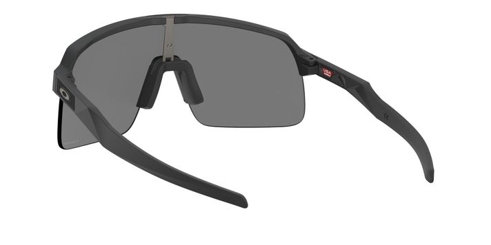 Oakley Sutro Lite Prizm-4