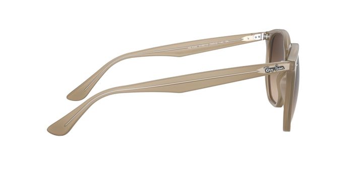 Ray-Ban Hexagonal RB4306-8