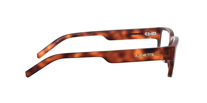 Arnette Bazz-8