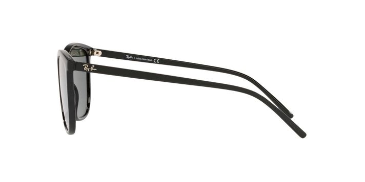 Ray-Ban RB4350L-2