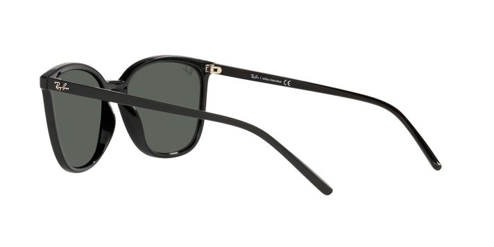 Ray-Ban RB4350L-3