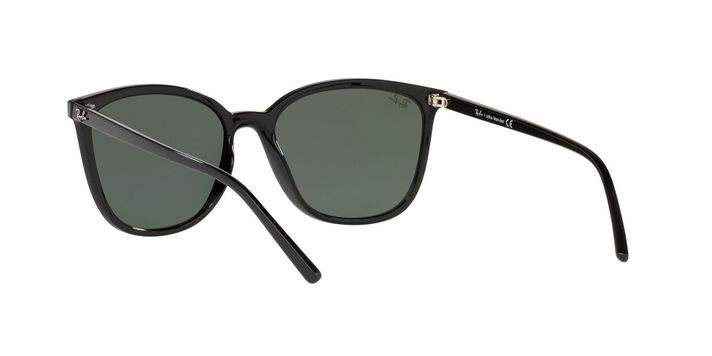 Ray-Ban RB4350L-4
