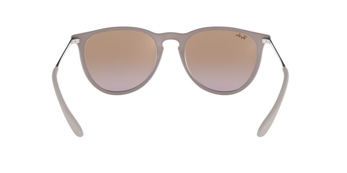Ray-Ban Erika-5