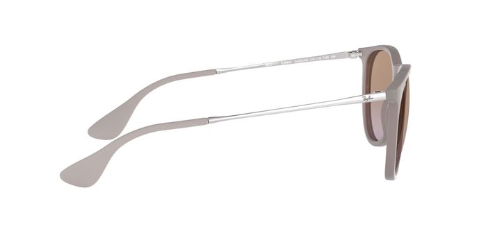 Ray-Ban Erika-8