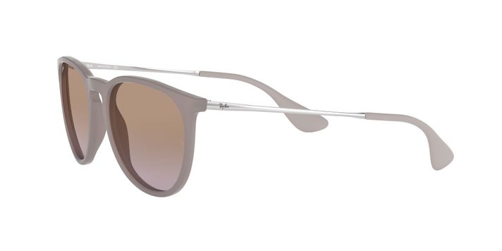 Ray-Ban Erika-1