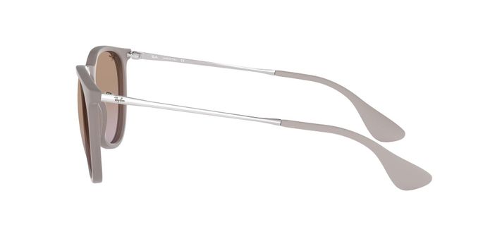 Ray-Ban Erika-2