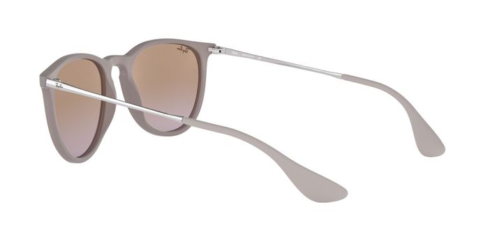 Ray-Ban Erika-3