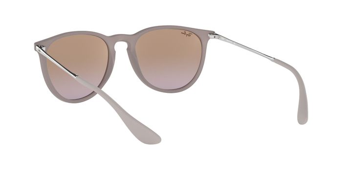 Ray-Ban Erika-4