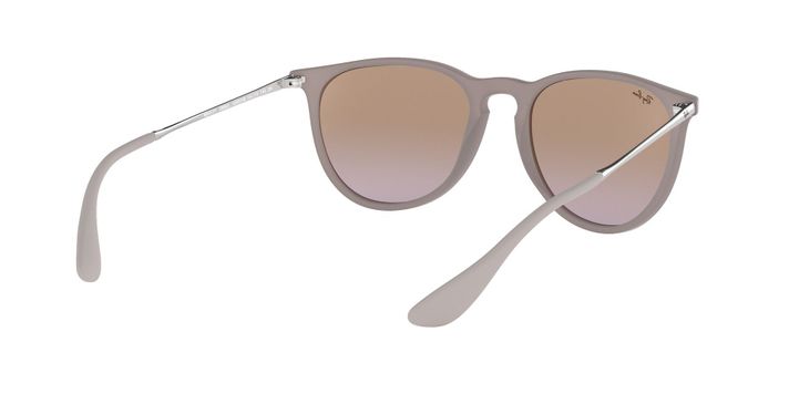 Ray-Ban Erika-6