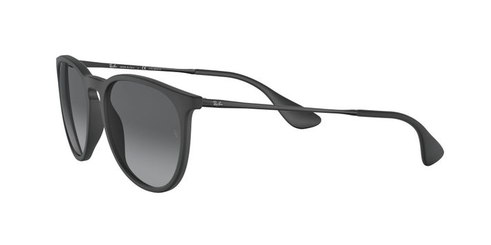 Ray-Ban Erika Polarizado-1