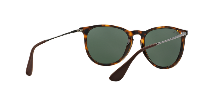 Ray-Ban Erika-6