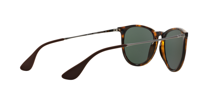 Ray-Ban Erika-7