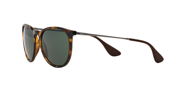 Ray-Ban Erika-1