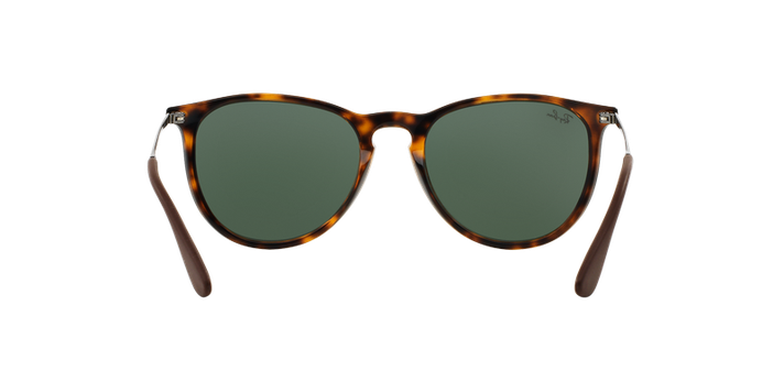 Ray-Ban Erika-5