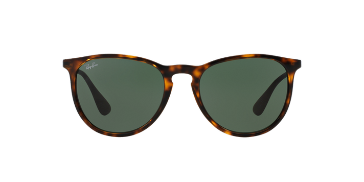 Ray-Ban Erika-11