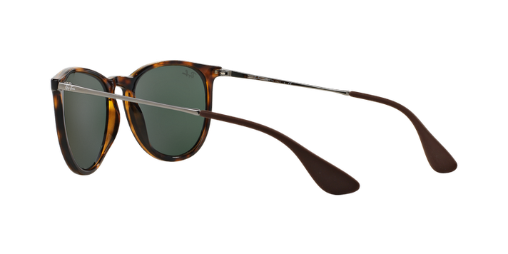 Ray-Ban Erika-3