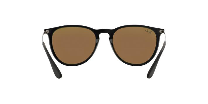Ray-Ban Erika-5