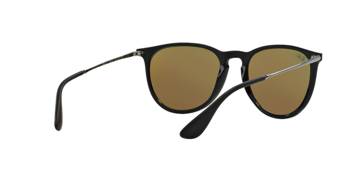 Ray-Ban Erika-6
