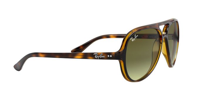 Ray-Ban Cats 5000-9