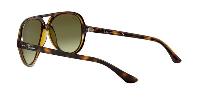 Ray-Ban Cats 5000-3