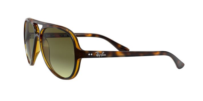 Ray-Ban Cats 5000-1