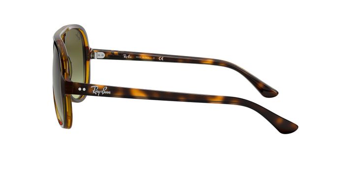 Ray-Ban Cats 5000-2