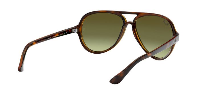 Ray-Ban Cats 5000-6