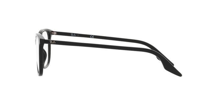 Ray-Ban RX5406 RX5406 2000 52-2